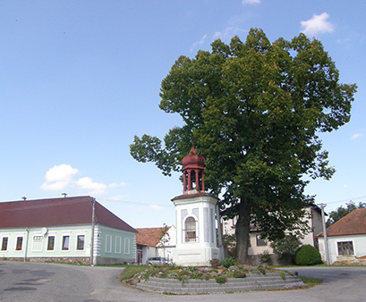 Obec Libějovice